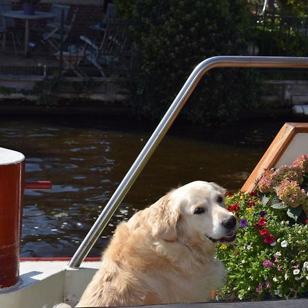 Bed and Breakfast Aurora Schiedam Exteriér fotografie